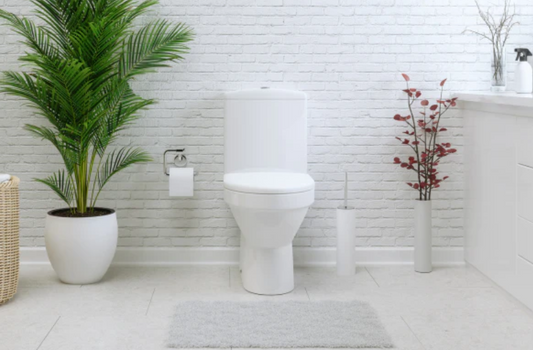 An image of a crisp white bathroom with white painted brick wall, plants in white planter pots and a white toilet in the centre. It’s a clean image as it is the cover for a blog on how to make a homemade toilet gel using natural green cleaning ingredients