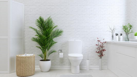 Toilet Cleaning Gel Recipe