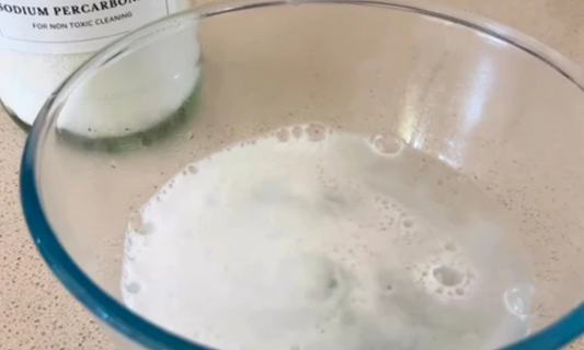 Bleach vs Oxybleach