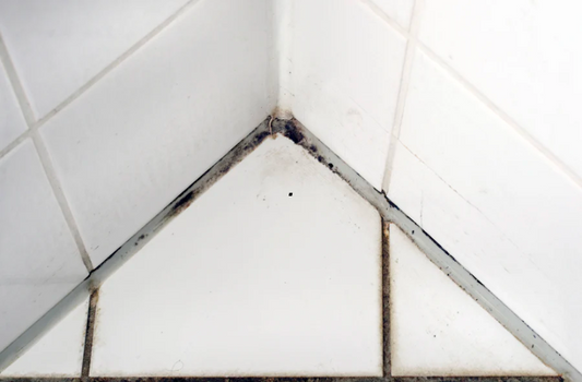 What to Do About Mould (and When Not to DIY)
