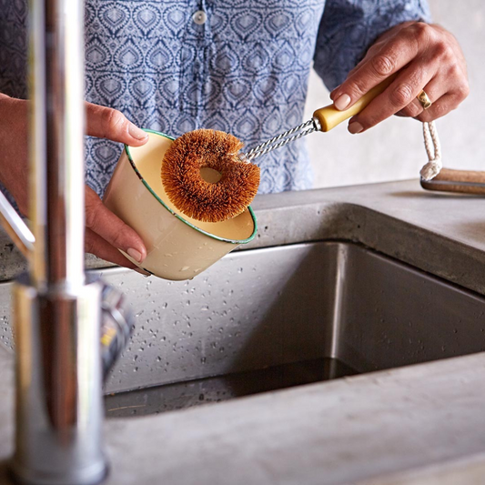 ECOMAX Dish Brush